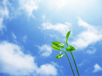 環境保全に貢献できる