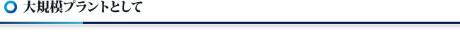 大規模プランととして